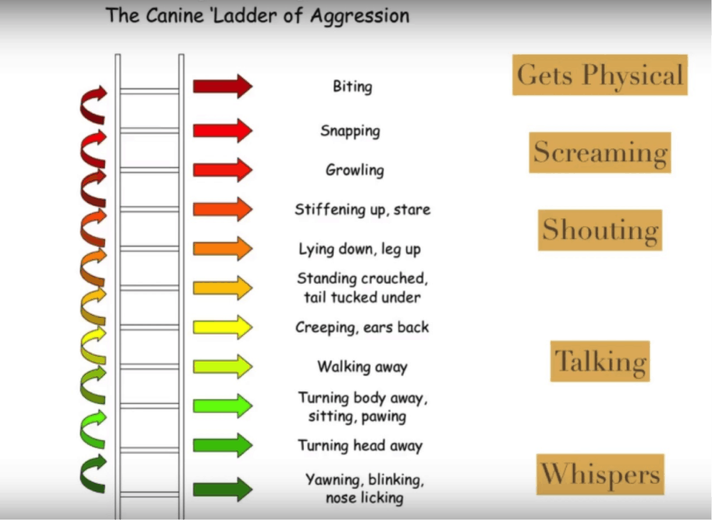 ladder of aggression 1