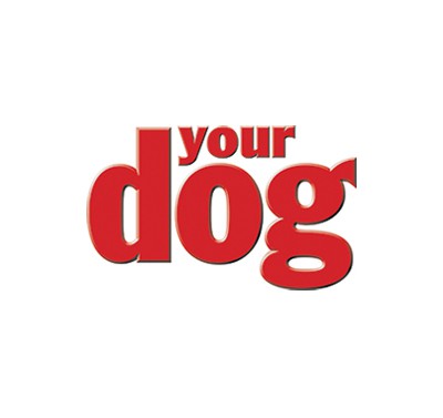 yourdog magazine